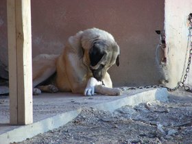 09-1111-Samsun (98).JPG